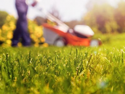 Lawn Maintenance