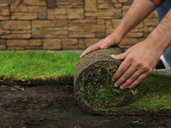 Sod & Hydroseeding